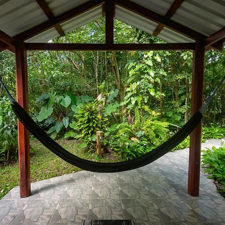 Cabanas Valle Campanas - Monteverde, Costa Rica Экстерьер фото